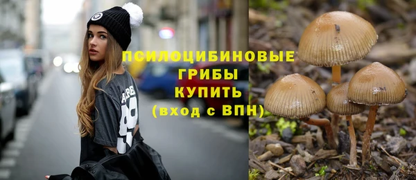 СК Медвежьегорск
