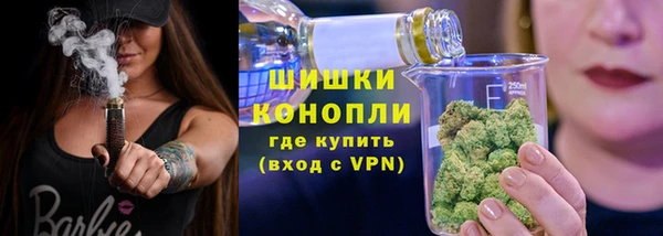 СК Медвежьегорск