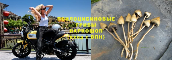ешки Мегион