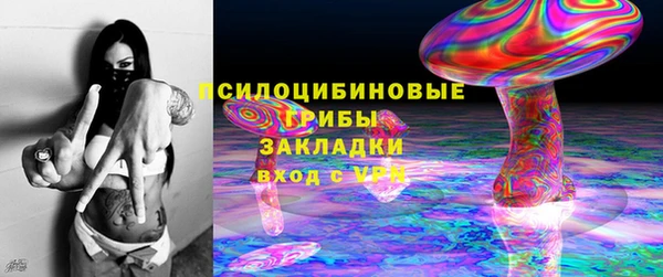 ешки Мегион