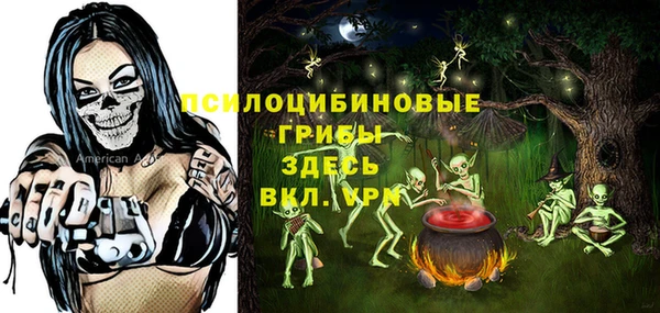 СК Медвежьегорск