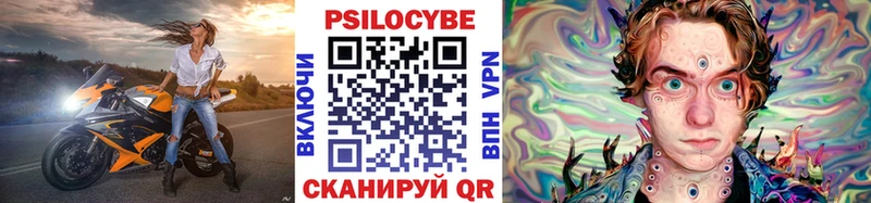 Псилоцибиновые грибы Psilocybe  где купить   Власиха 
